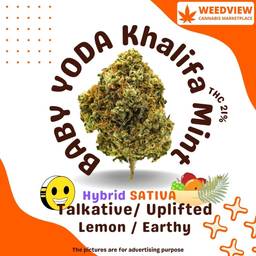 undefined - Baby Yoda Khalifa Mints