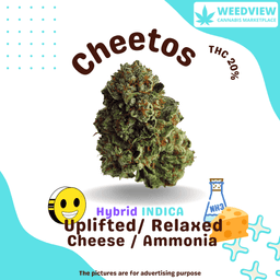undefined - Cheetos