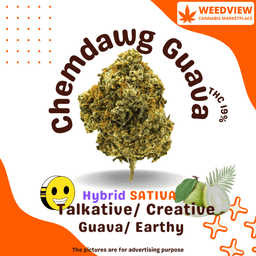 undefined - Chemdawg Guava