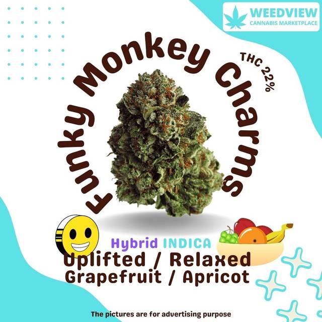 undefined - Funky Monkey Charms